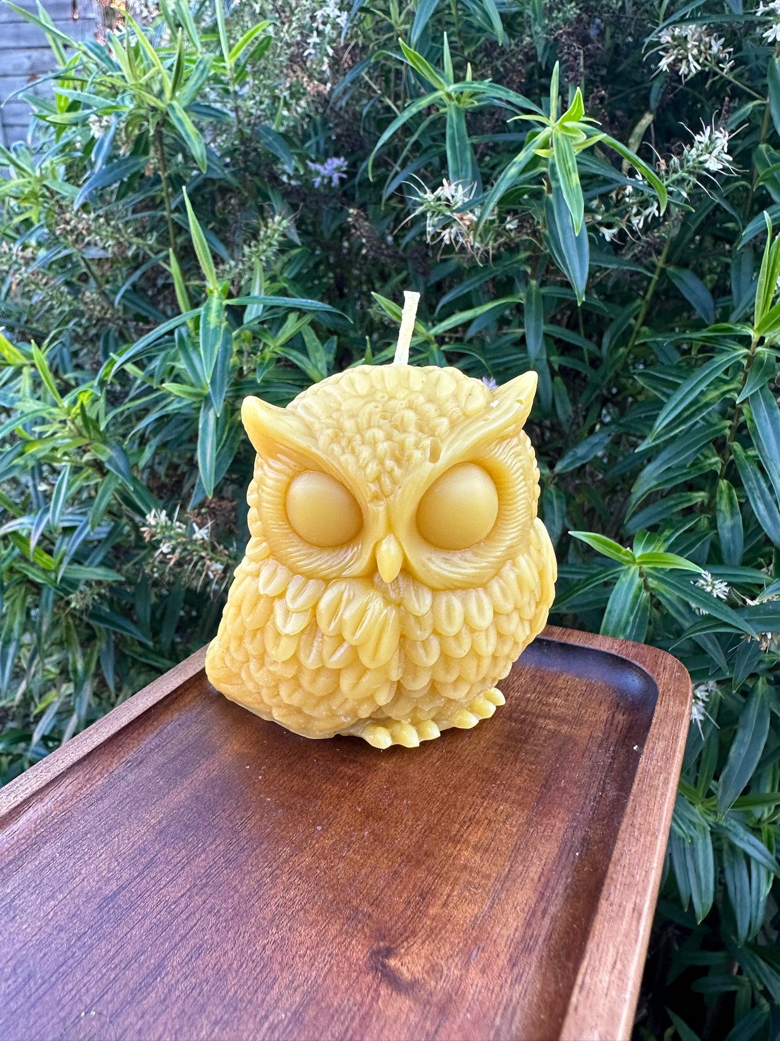 Owl Candle 2