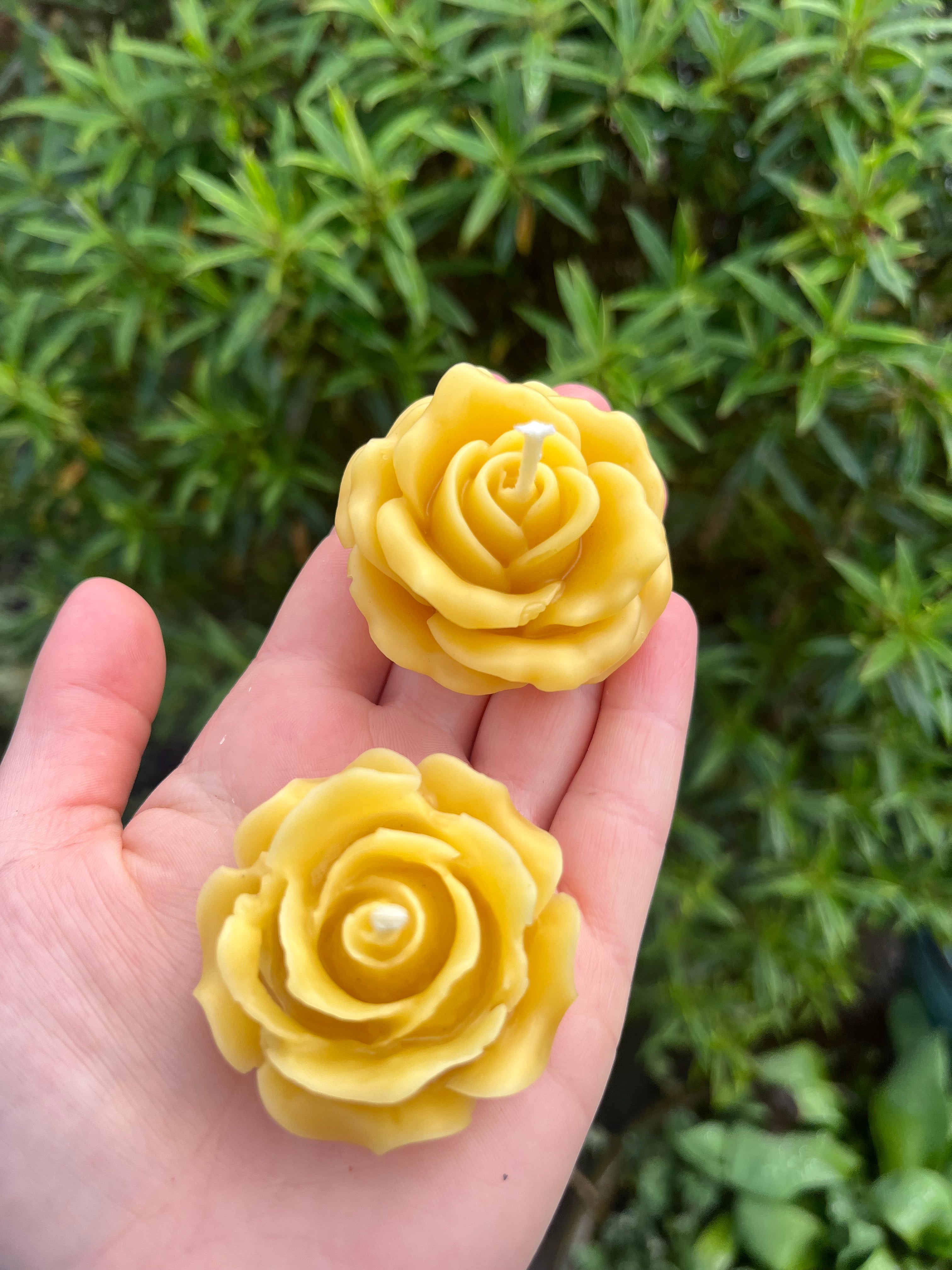 Rose tea lights
