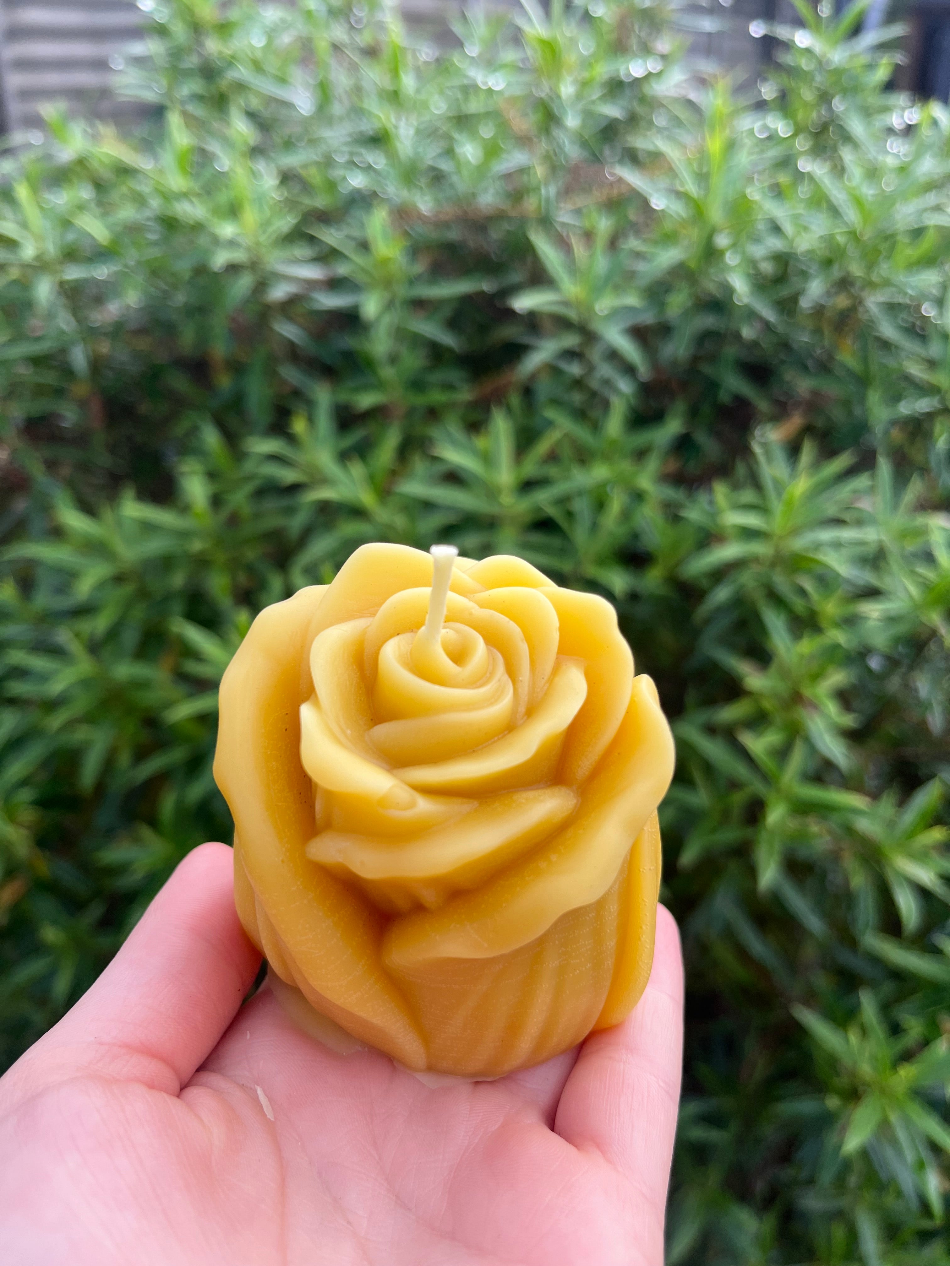 Single Rose