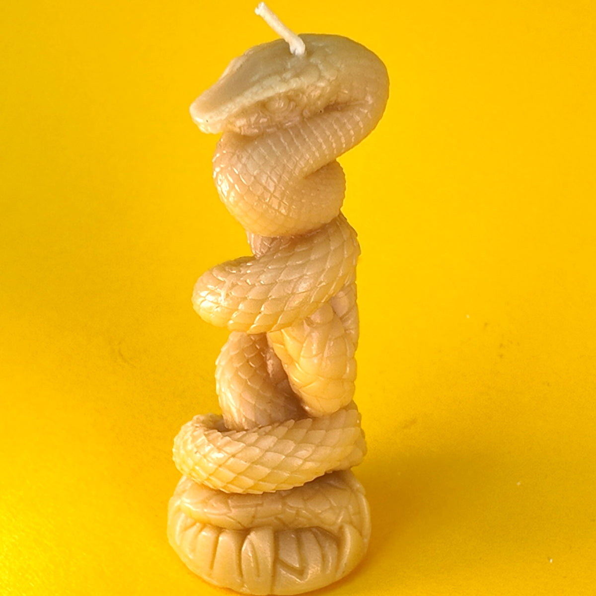 Twisted Snake Candle