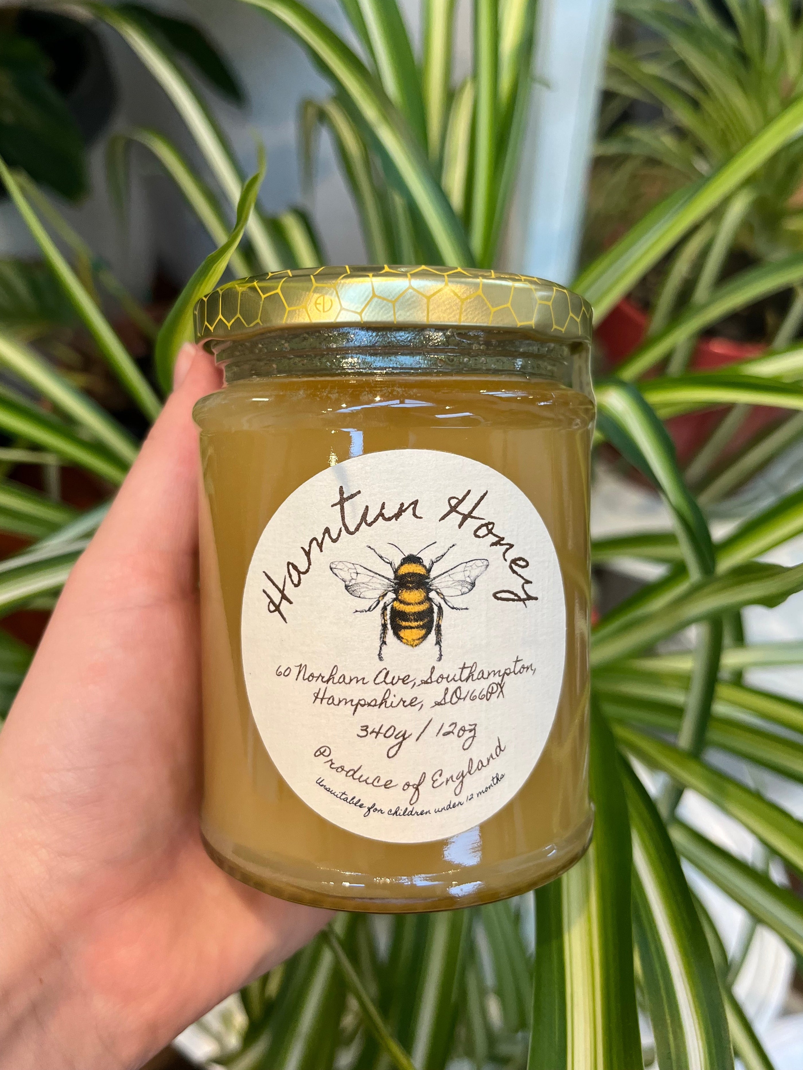 12oz Jar of Raw Soft Set Honey