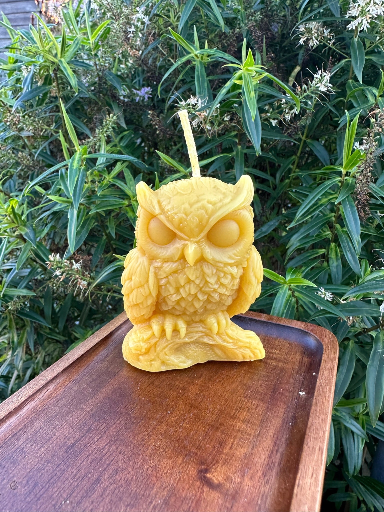 Owl Candle 4