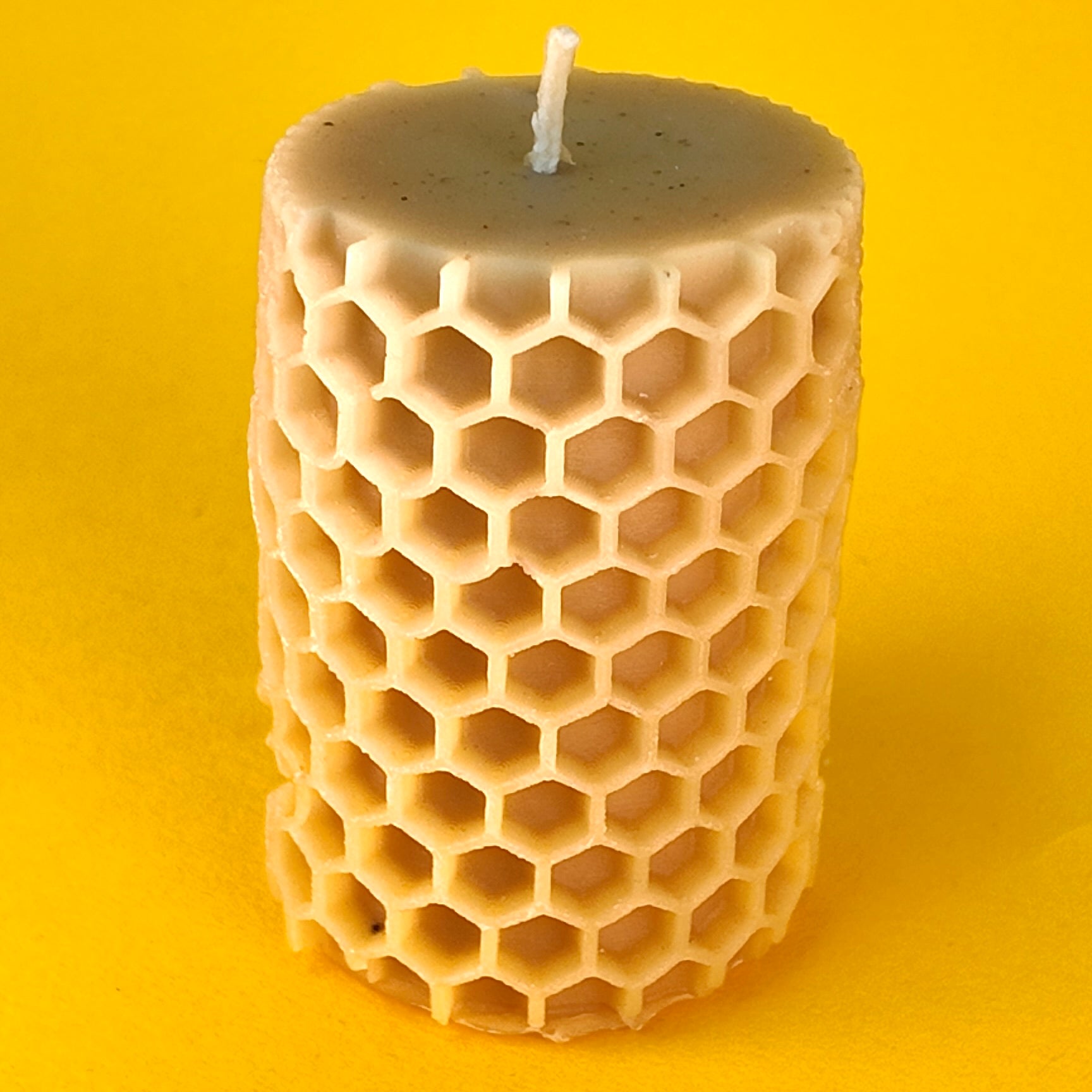Large Bee on Honeycomb