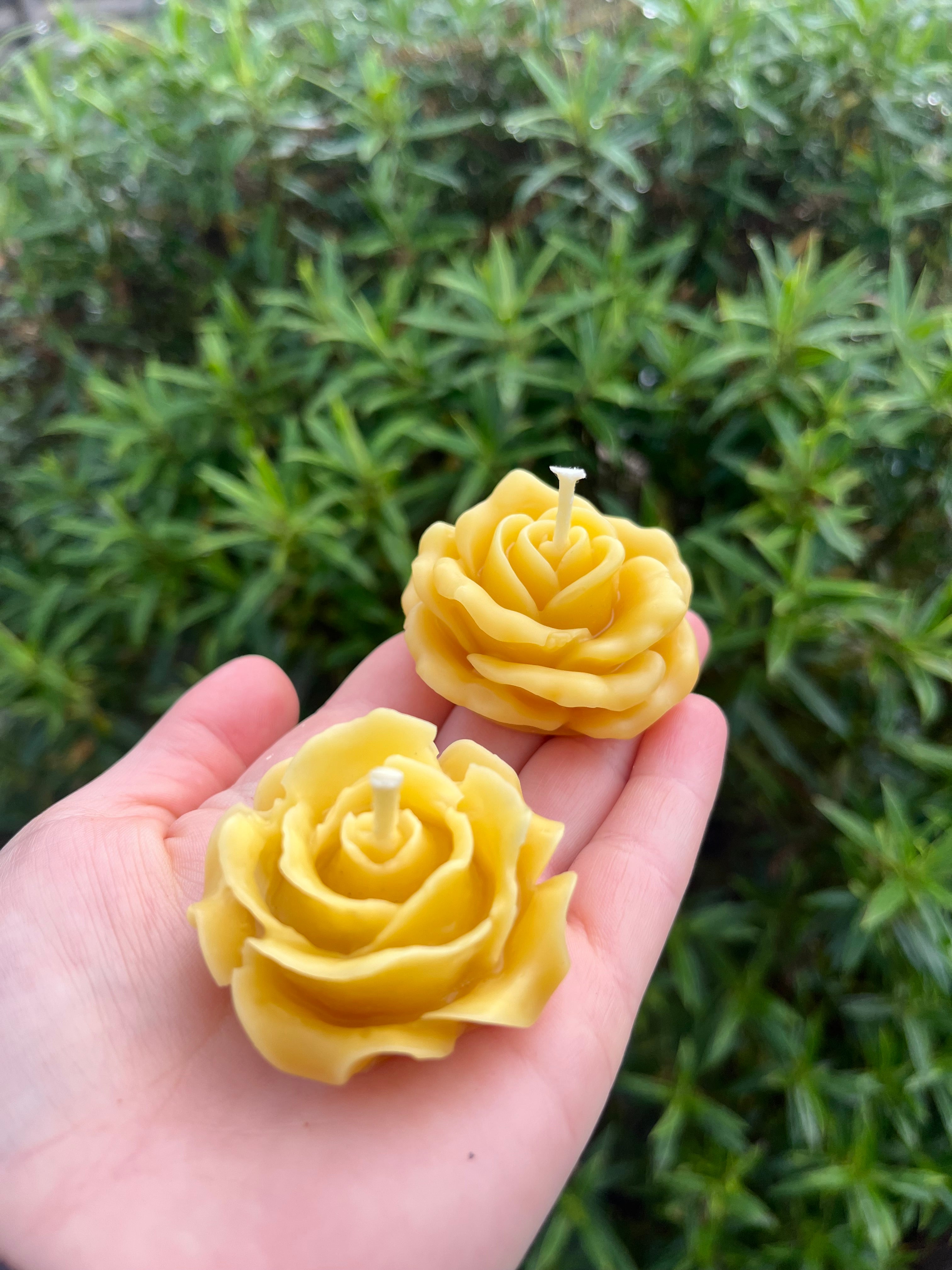 Rose tea lights