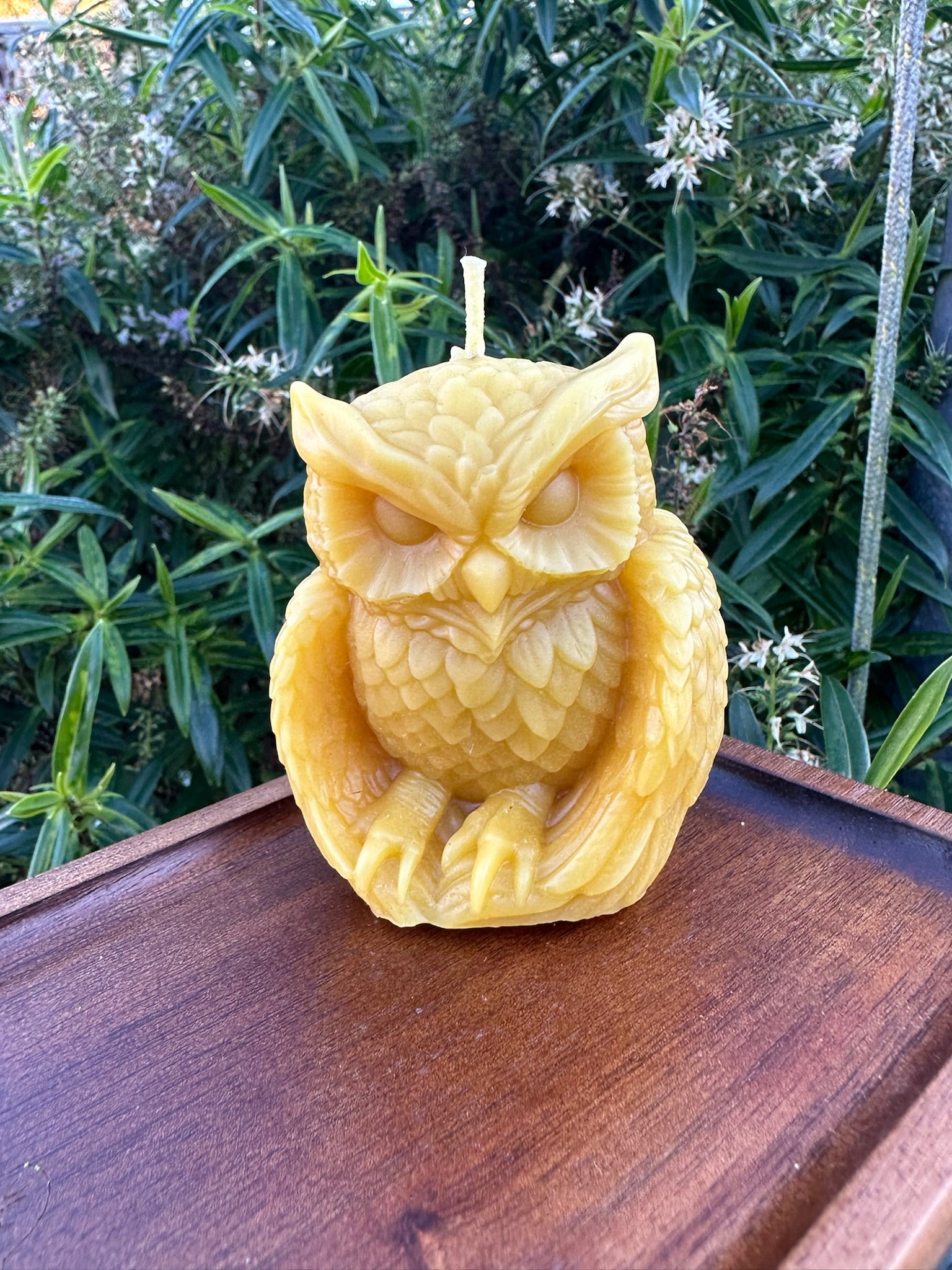 Owl Candle 1