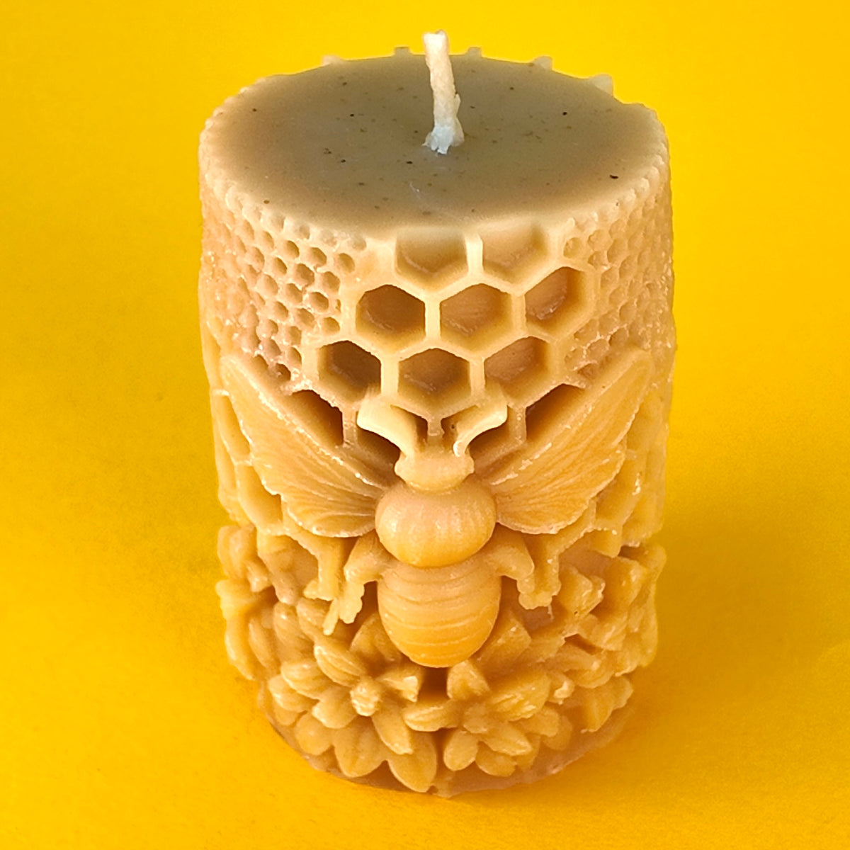 Large Bee on Honeycomb