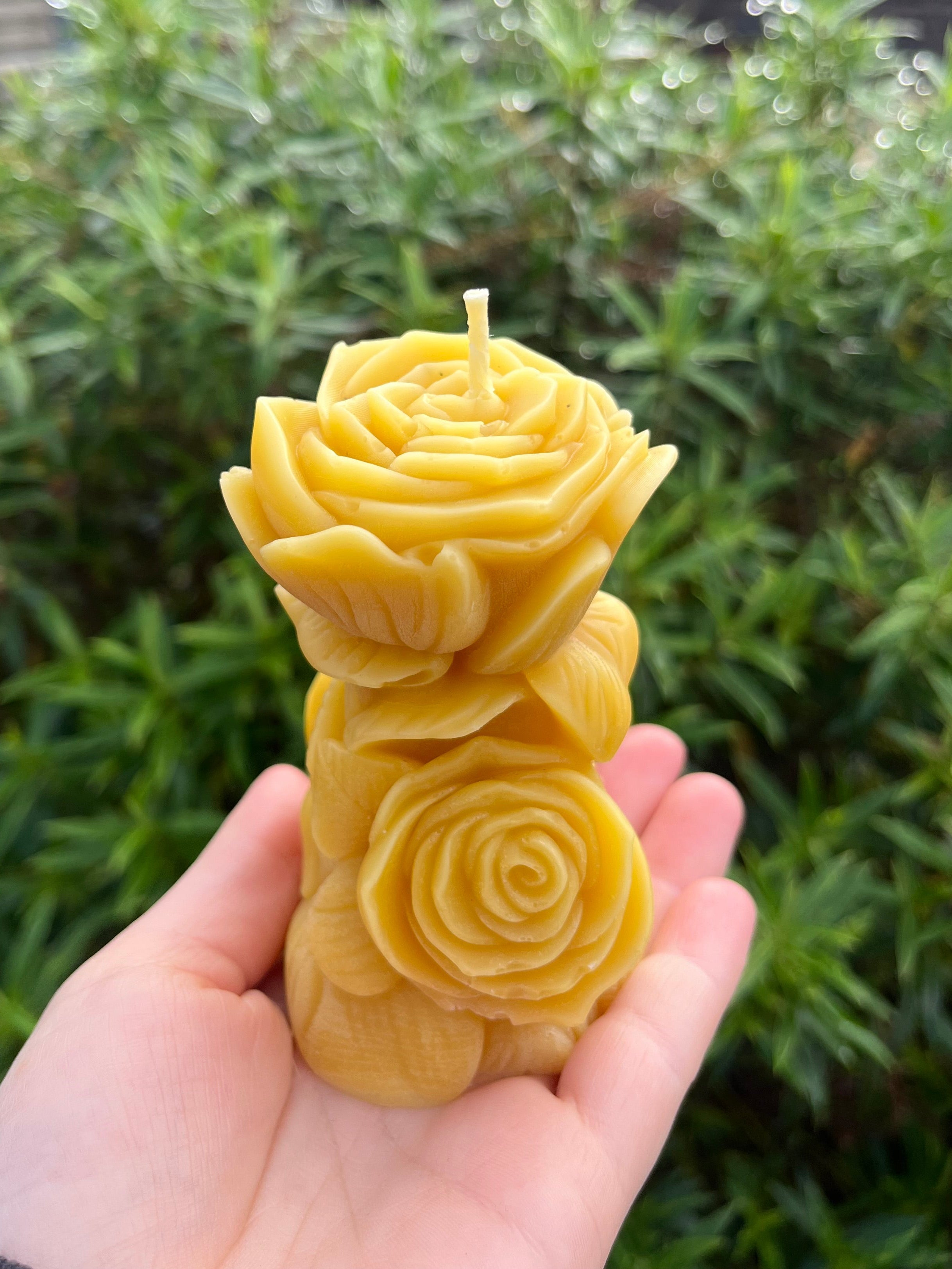 Double Rose