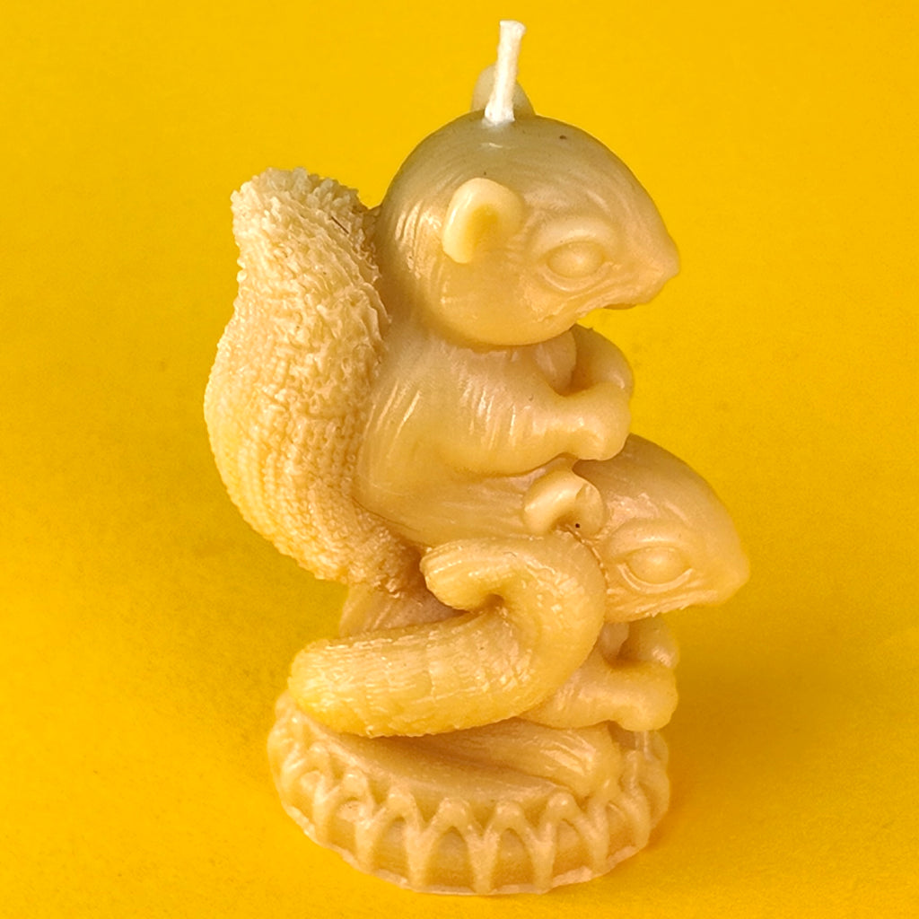 Squirrels Candle