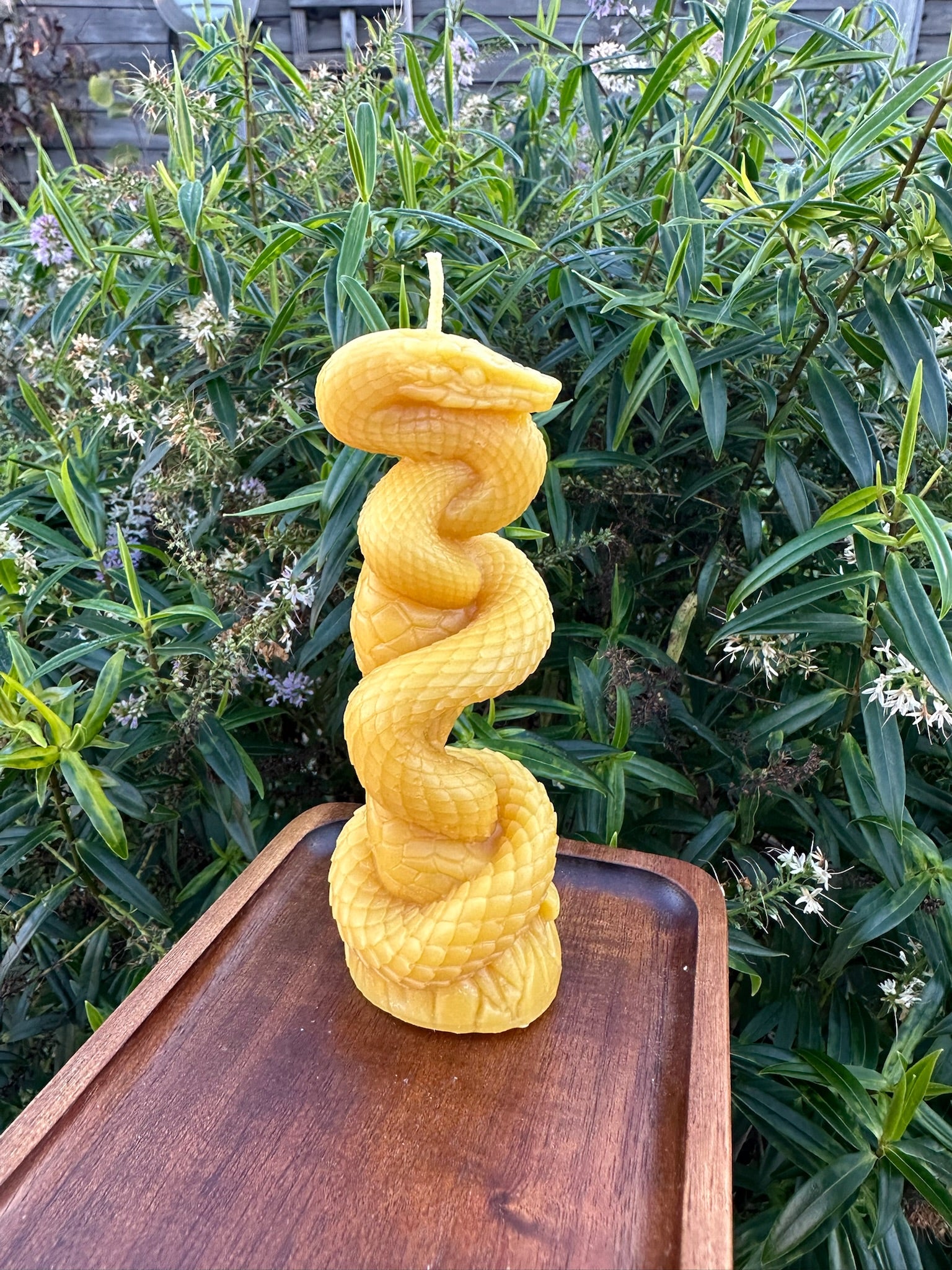 Twisted Snake Candle