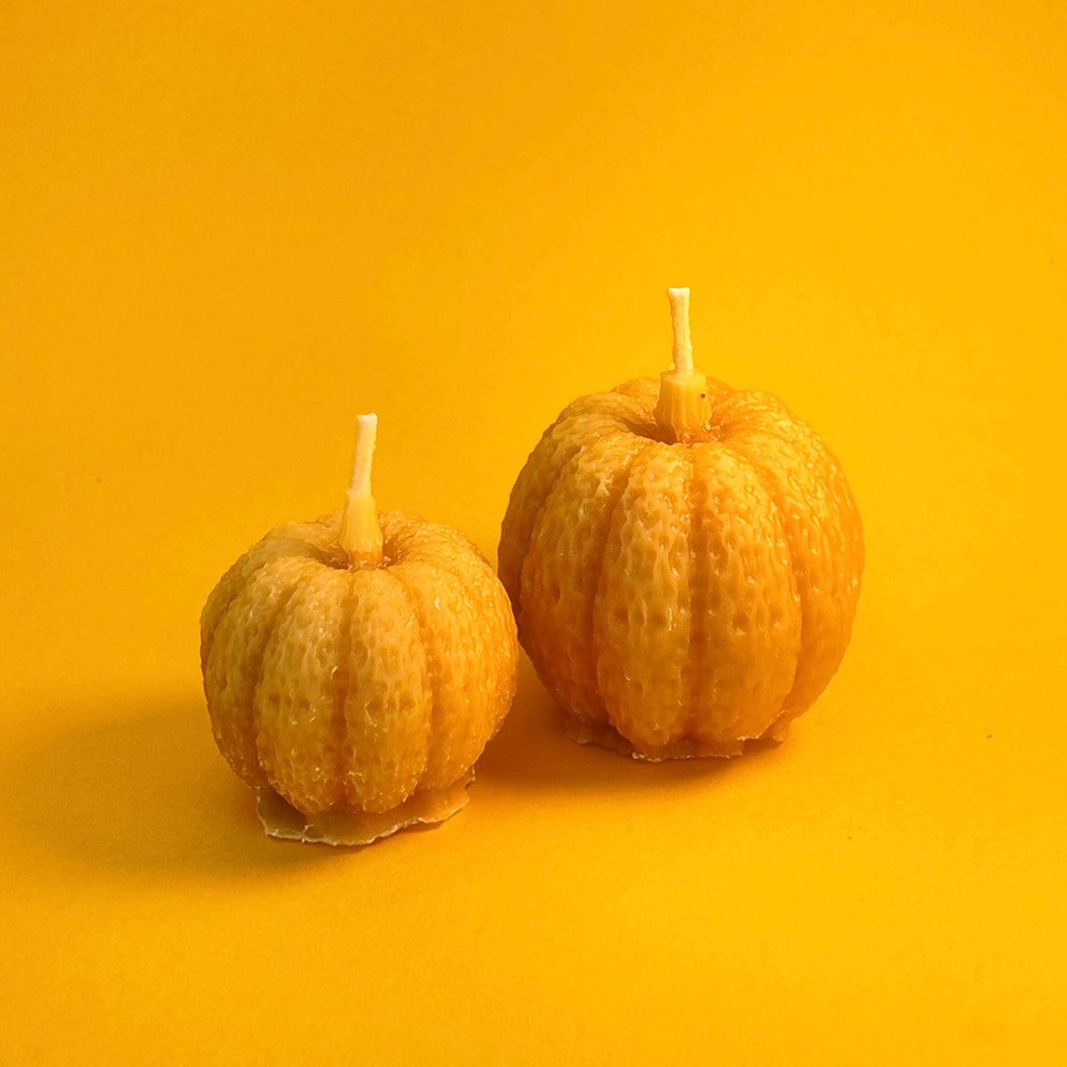 Pumpkin Pair
