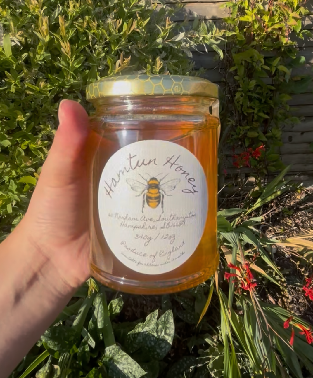 12 oz Jar of Raw Wildflower Honey