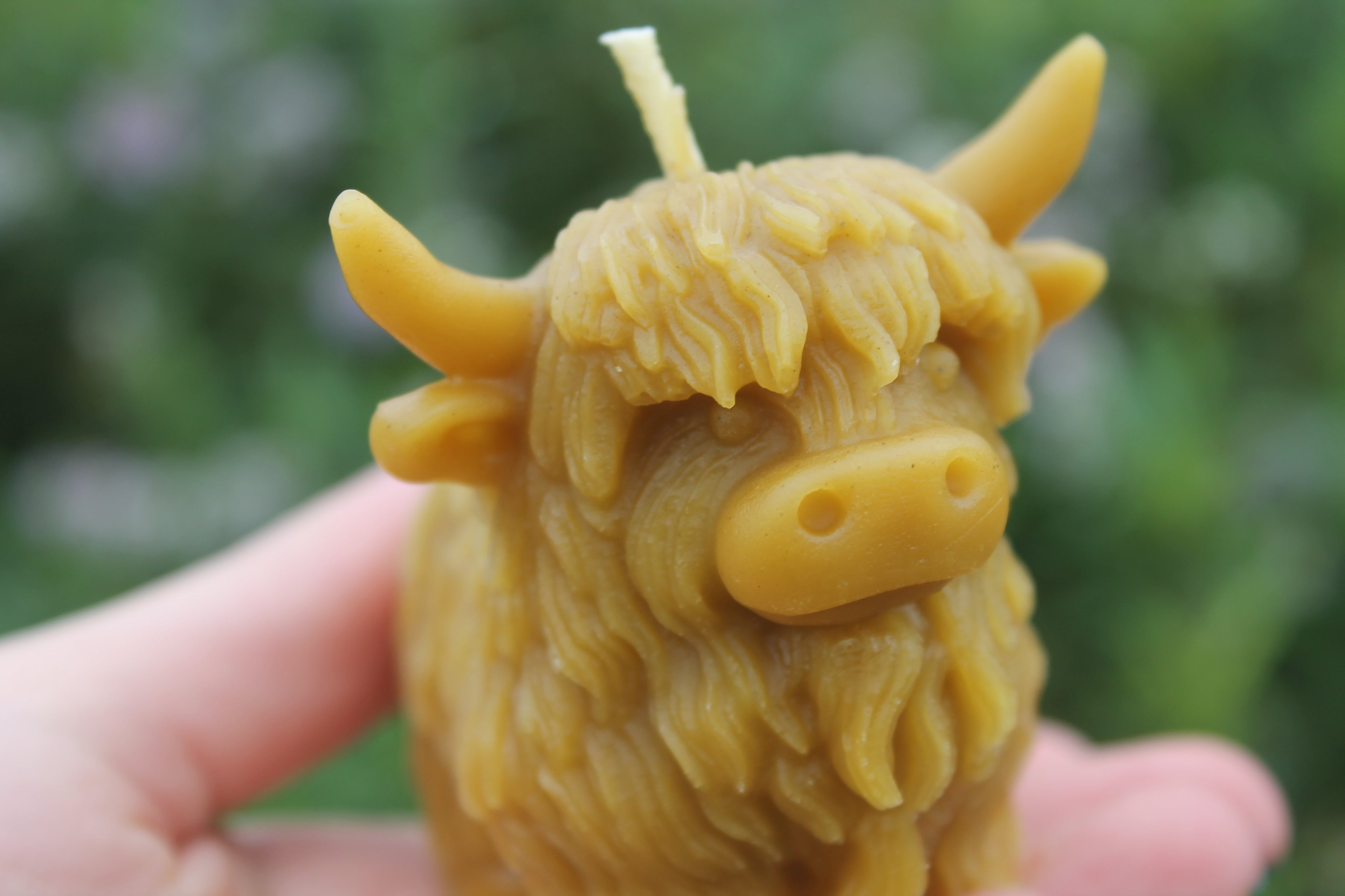 Highland Cow Candle