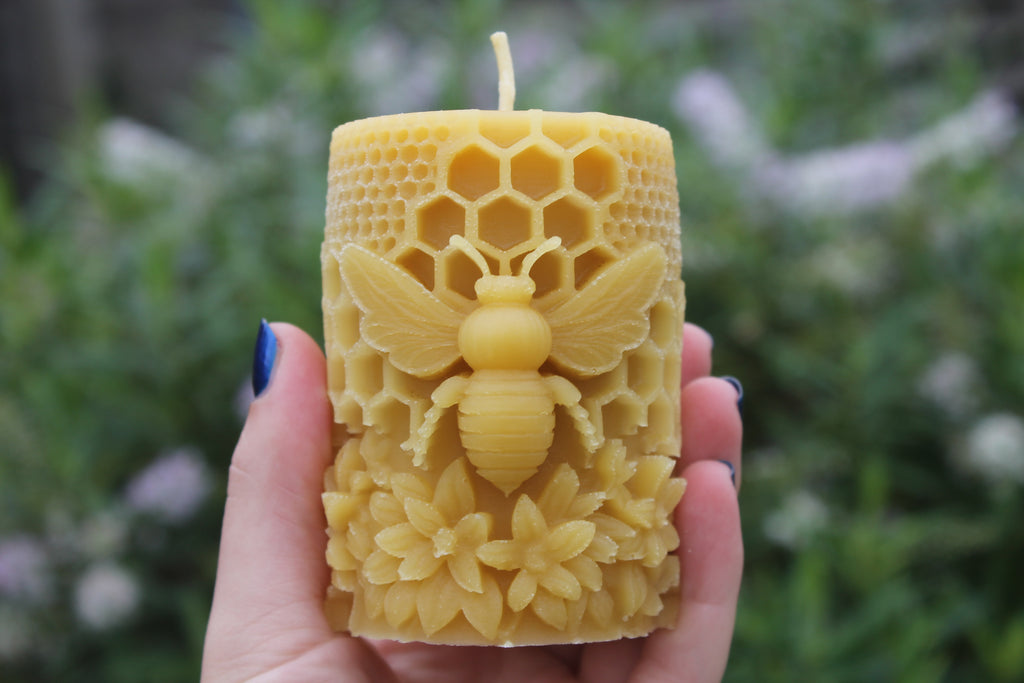 Large Bee on Honeycomb