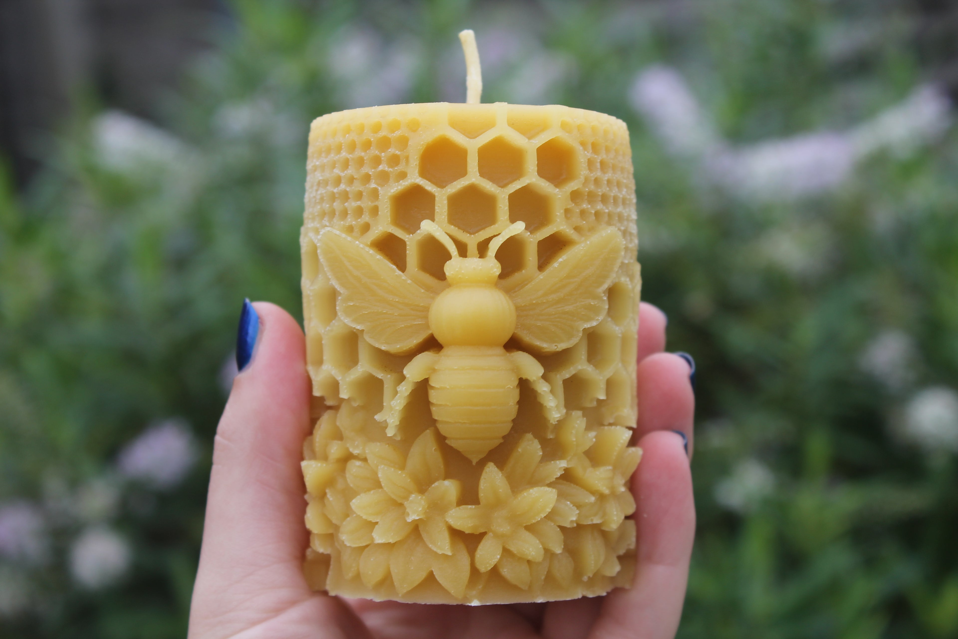 Large Bee on Honeycomb