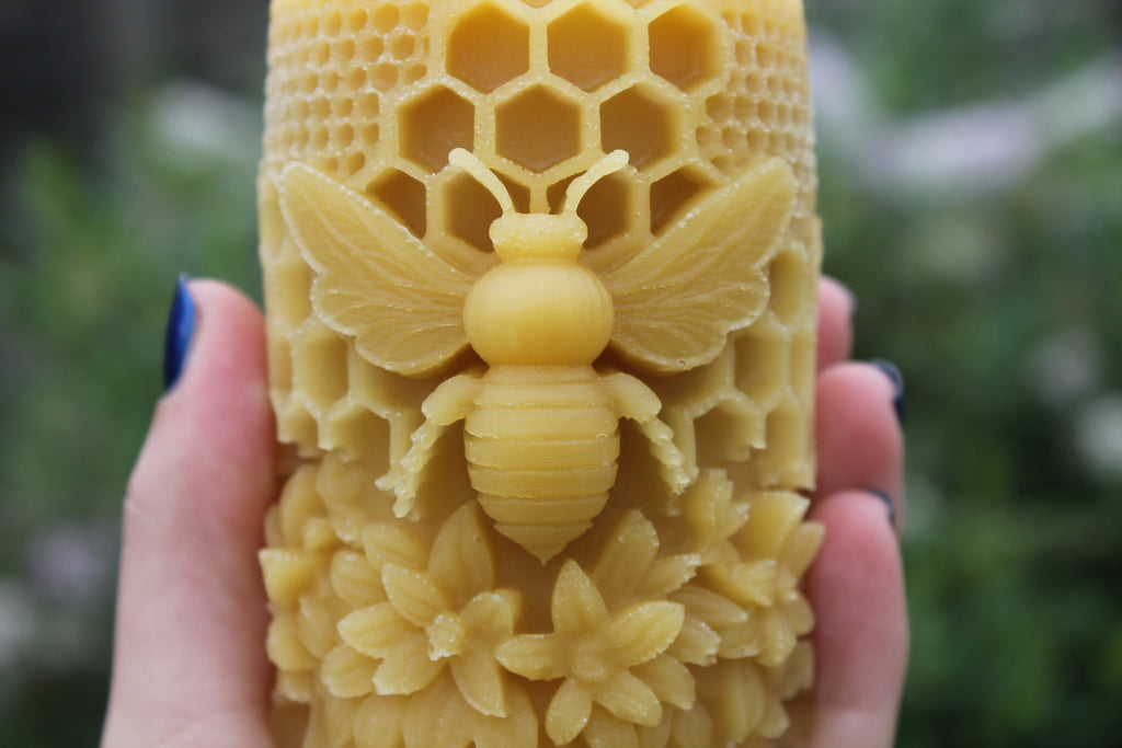 Large Bee on Honeycomb