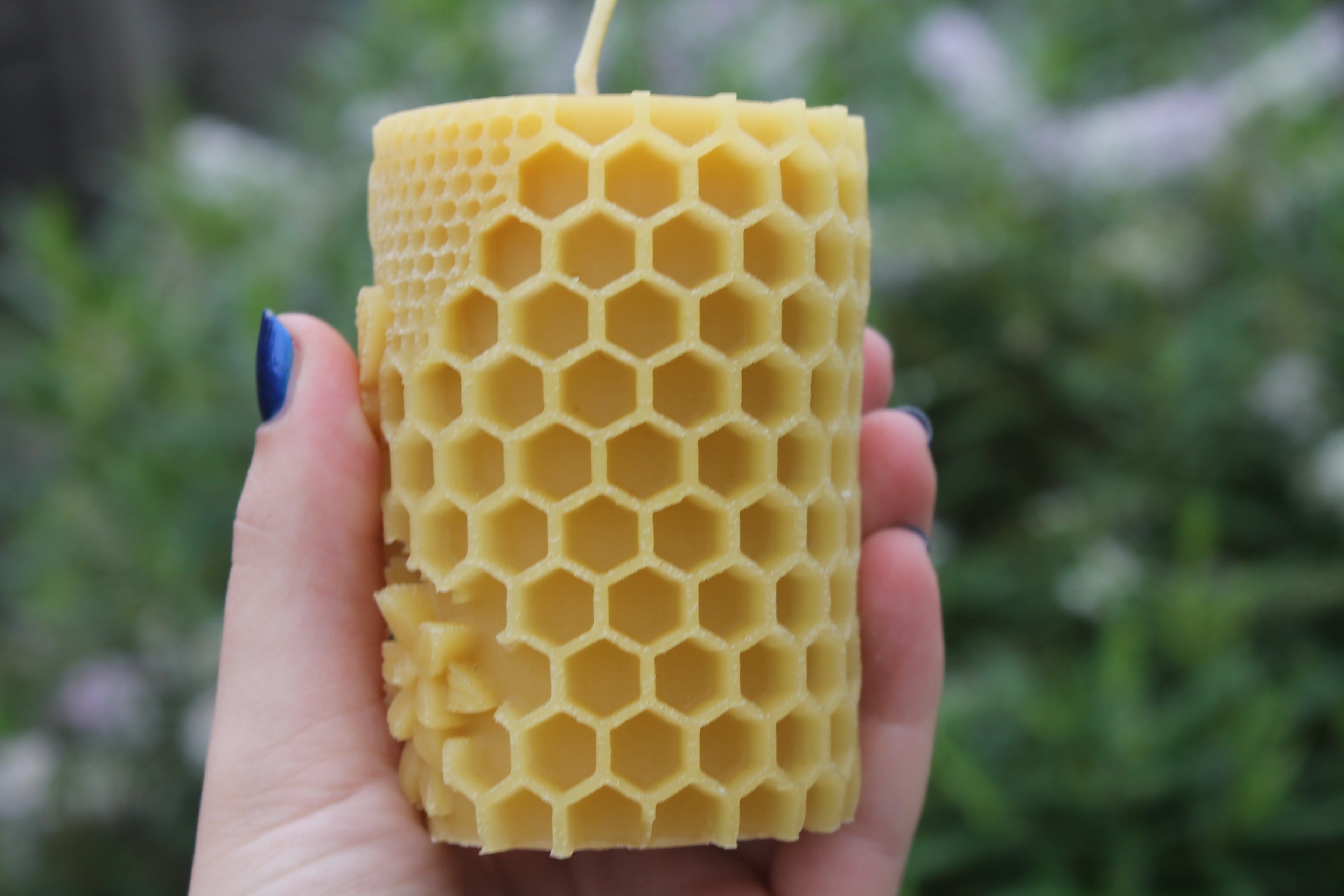 Large Bee on Honeycomb