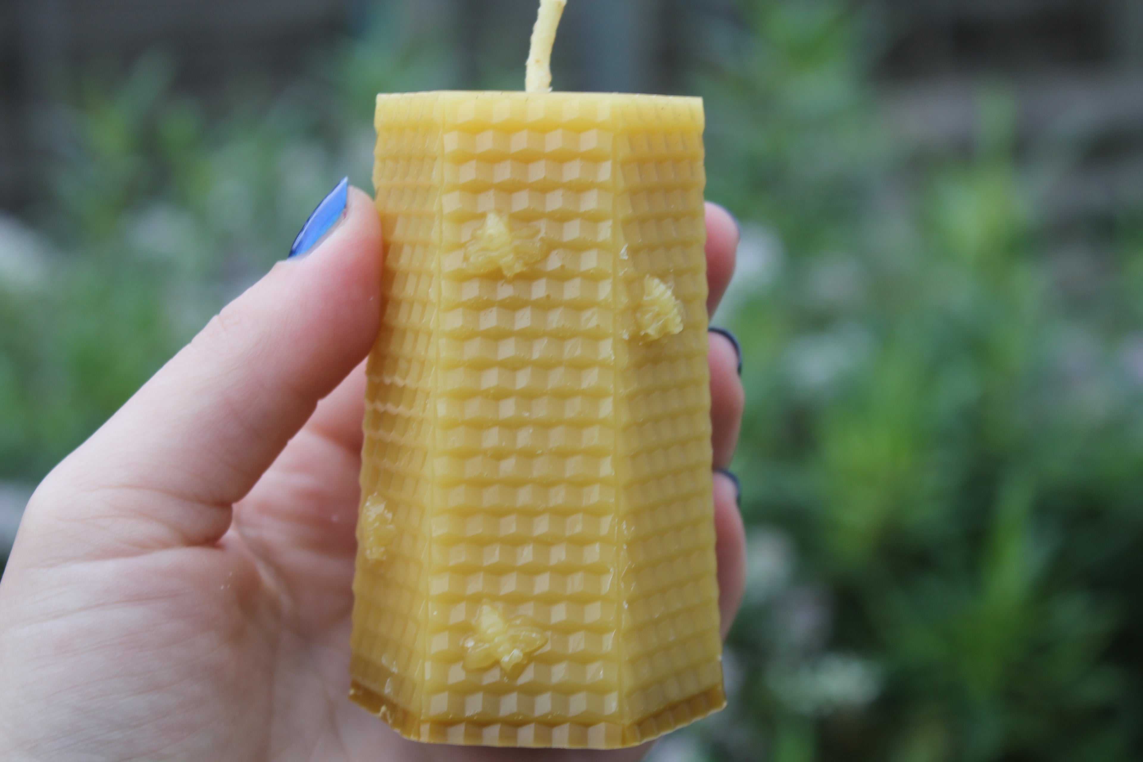 Honeycomb with Small Bees