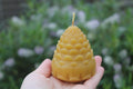 Large Pine Cone